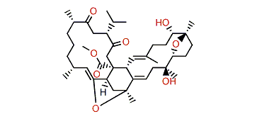 Ximaolide D